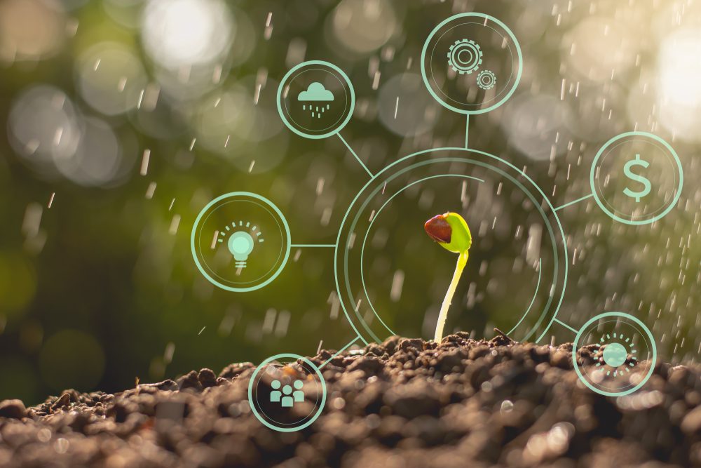 Smart nurture campaigns to convert leads into loyal customers